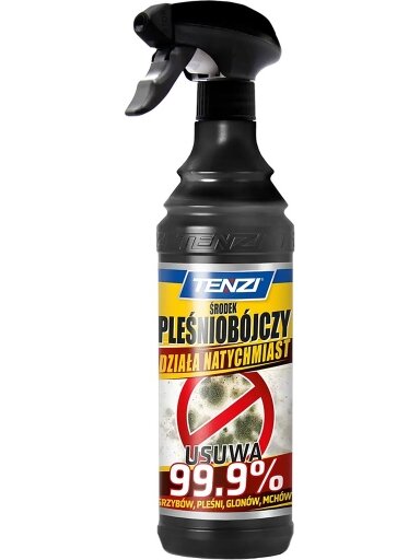 Pelėsio naikintojas TZ-PLESN