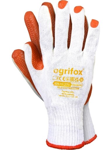 Piršinės OX-ORANGINA WP